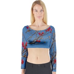 Santa Rita Flower Photo001 Long Sleeve Crop Top by dflcprintsclothing