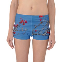 Santa Rita Flower Photo001 Boyleg Bikini Bottoms