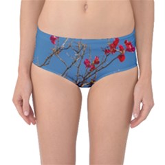 Santa Rita Flower Photo001 Mid-waist Bikini Bottoms by dflcprintsclothing