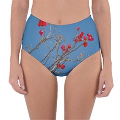 Santa Rita Flower Photo001 Reversible High-Waist Bikini Bottoms