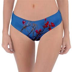 Santa Rita Flower Photo001 Reversible Classic Bikini Bottoms