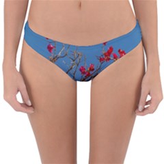 Santa Rita Flower Photo001 Reversible Hipster Bikini Bottoms