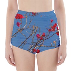 Santa Rita Flower Photo001 High-Waisted Bikini Bottoms