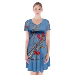 Santa Rita Flower Photo001 Short Sleeve V-neck Flare Dress