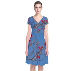 Santa Rita Flower Photo001 Short Sleeve Front Wrap Dress