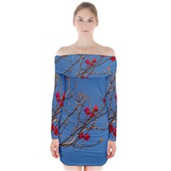 Santa Rita Flower Photo001 Long Sleeve Off Shoulder Dress