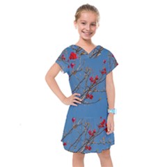 Santa Rita Flower Photo001 Kids  Drop Waist Dress