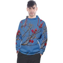 Santa Rita Flower Photo001 Men s Pullover Hoodie by dflcprintsclothing