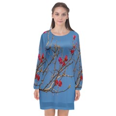 Santa Rita Flower Photo001 Long Sleeve Chiffon Shift Dress 