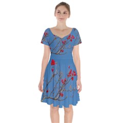 Santa Rita Flower Photo001 Short Sleeve Bardot Dress