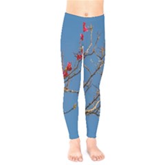 Santa Rita Flower Photo001 Kids  Leggings