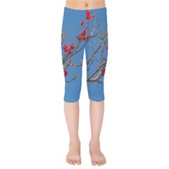 Santa Rita Flower Photo001 Kids  Capri Leggings 