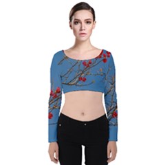 Santa Rita Flower Photo001 Velvet Long Sleeve Crop Top