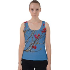 Santa Rita Flower Photo001 Velvet Tank Top