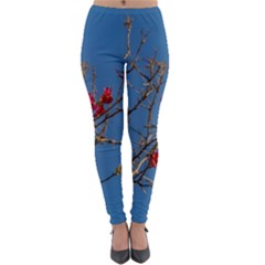 Santa Rita Flower Photo001 Lightweight Velour Leggings