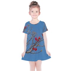 Santa Rita Flower Photo001 Kids  Simple Cotton Dress