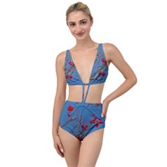 Santa Rita Flower Photo001 Tied Up Two Piece Swimsuit