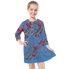 Santa Rita Flower Photo001 Kids  Quarter Sleeve Shirt Dress