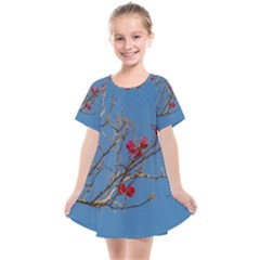 Santa Rita Flower Photo001 Kids  Smock Dress