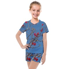 Santa Rita Flower Photo001 Kids  Mesh Tee and Shorts Set