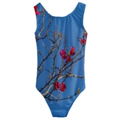 Santa Rita Flower Photo001 Kids  Cut-Out Back One Piece Swimsuit