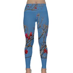 Santa Rita Flower Photo001 Lightweight Velour Classic Yoga Leggings