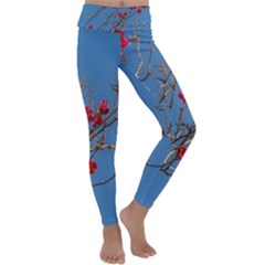 Santa Rita Flower Photo001 Kids  Lightweight Velour Classic Yoga Leggings