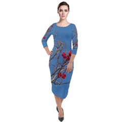 Santa Rita Flower Photo001 Quarter Sleeve Midi Velour Bodycon Dress