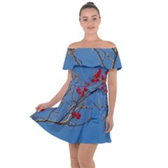 Santa Rita Flower Photo001 Off Shoulder Velour Dress