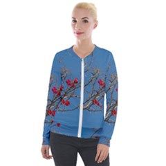 Santa Rita Flower Photo001 Velour Zip Up Jacket