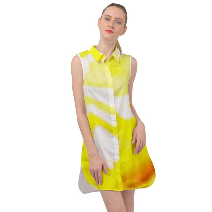 Golden Yellow Rose Sleeveless Shirt Dress