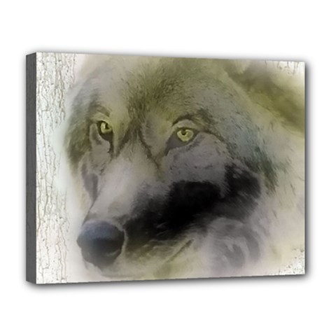 Wolf Evil Monster Canvas 14  X 11  (stretched) by HermanTelo