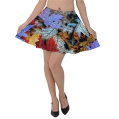 Rainbow Season Velvet Skater Skirt