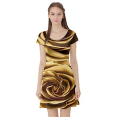 Gold Roses Short Sleeve Skater Dress by Sparkle