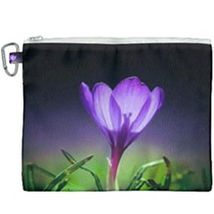 Flower Canvas Cosmetic Bag (xxxl) by Sparkle