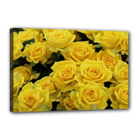 Yellow Roses Canvas 18  X 12  (stretched) by Sparkle