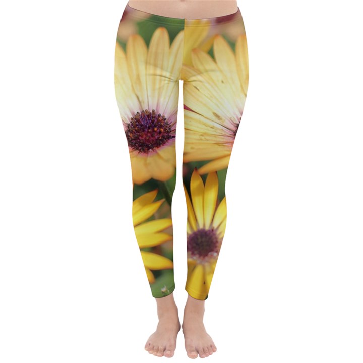 Yellow Flowers Classic Winter Leggings