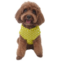 Yellow Polka Dot Dog Sweater