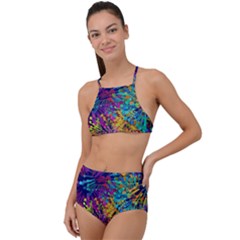 Illustration Graphics Art High Waist Tankini Set