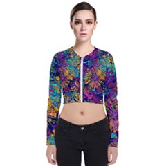 Illustration Graphics Art Long Sleeve Zip Up Bomber Jacket