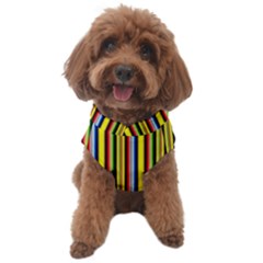 Bright Serape Dog Sweater by ibelieveimages