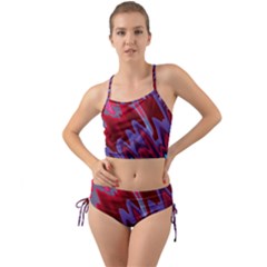 Red Blue Zig Zag Waves Pattern Mini Tank Bikini Set by SpinnyChairDesigns