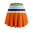 Tri Color Stripes Mini Flare Skirt View2