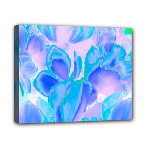 Ciclamen Flowers Blue Canvas 10  X 8  (stretched)