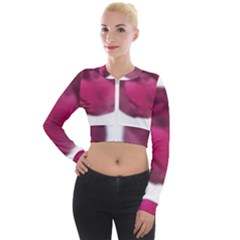 Fun Fuschia Long Sleeve Cropped Velvet Jacket