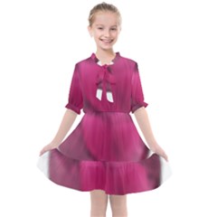 Fun Fuschia Kids  All Frills Chiffon Dress by Janetaudreywilson