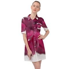 Fun Fuschia Belted Shirt Dress