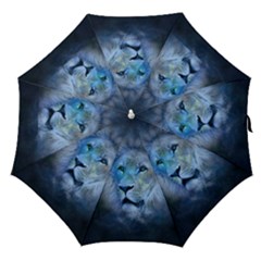 Astrology Zodiac Lion Straight Umbrellas by Mariart