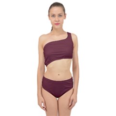 True Burgundy Color Spliced Up Two Piece Swimsuit