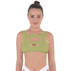 Olive Green Color Bandaged Up Bikini Top by SpinnyChairDesigns